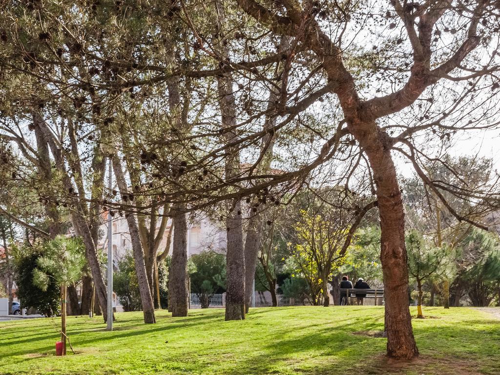 Cascais Salmao Apartments Dış mekan fotoğraf